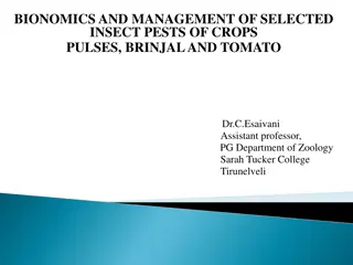 Bionomics and Management of Insect Pests in Crops: Insights and Strategies