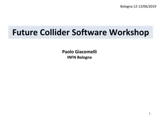 Future Collider Software Workshop in Bologna