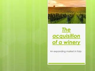 The Wine Industry in Italy: Trends and Acquisition Opportunities