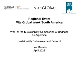 Sustainability Initiatives in Argentina's Wine Industry