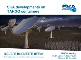 Developing Standardized Tango Environment with Docker for SKA Telescope Project