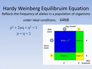 Hardy-Weinberg Equilibrium in Population Genetics