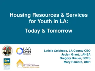 Combating Homelessness: LA County's Youth Housing Initiative