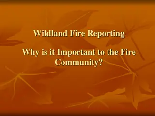 Importance of Wildland Fire Reporting to the Fire Community