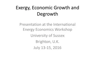 Exergy, Economic Growth, and Degrowth: A Critical Perspective