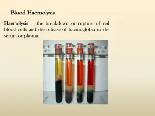 Blood Haemolysis and Specimen Rejection in Laboratory Testing