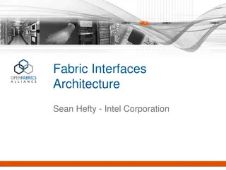 Fabric Interfaces Architecture Overview