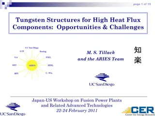 Tungsten Structures for High Heat Flux Components: Opportunities & Challenges