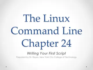 Writing Your First Shell Script: A Beginner's Guide