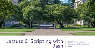 Intermediate Bash Scripting for Efficient Command Line Operations