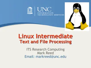 Comprehensive Guide on Linux Intermediate Text and File Processing