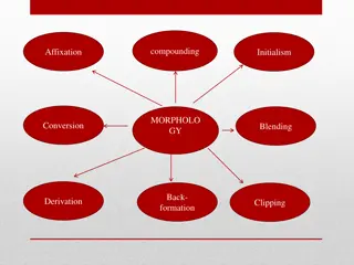 Word Formation Processes in Morphology Explained