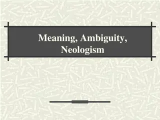 Ambiguity in Translation Theory