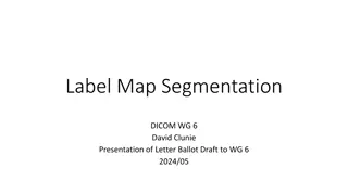 Improving Segmentation in DICOM with Label Maps