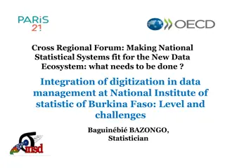 Enhancing Data Digitization at National Statistical Systems - A Case Study of Burkina Faso