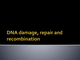 Understanding Mutagenesis, DNA Damage, Repair, and Recombination