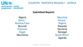 Ozone Observational and Monitoring Activities in Algeria and Burkina Faso