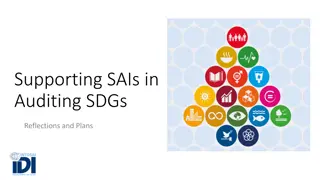 Supporting SAIs in Auditing SDGs: Reflections and Plans