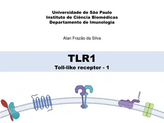 TLR1 - Toll-like Receptor-1 in Immunology Research at University of São Paulo