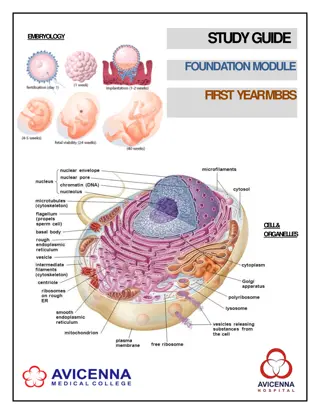 1st Year MBBS Foundation Module Study Guide at Avicenna Medical College