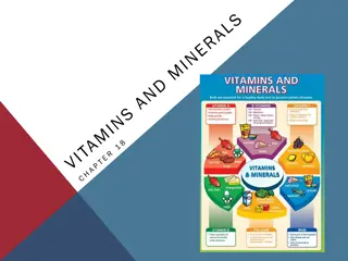 Importance of Vitamins and Minerals in Health