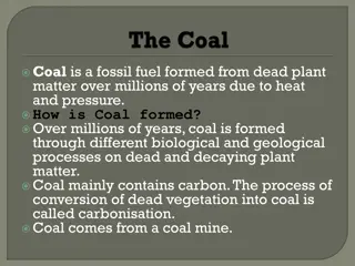 The Formation and Uses of Coal