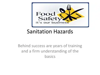 Importance of Sanitation in Food Handling