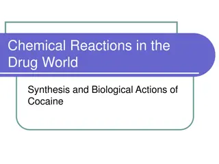 The Intriguing World of Cocaine: Synthesis, Purification, and Biological Effects