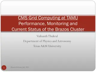 Performance and Monitoring of CMS Grid Computing at TAMU