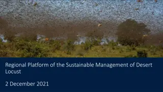 Comprehensive Overview of Desert Locust Management and Response Programs