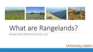 Rangelands: An Overview of Ecosystem Diversity and Grazing Practices