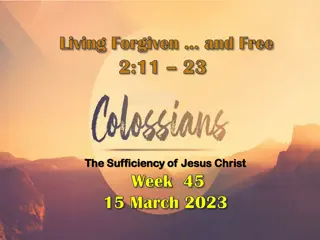 Unveiling the Sufficiency of Christ in Colossians