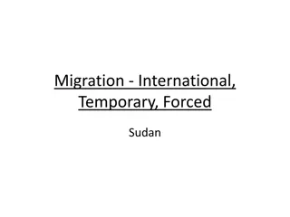 Migration from Sudan to Chad: Causes, Consequences, and Refuge