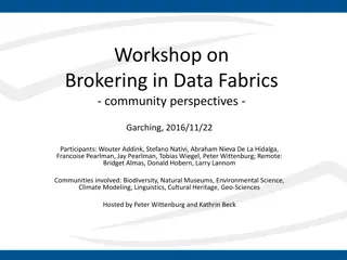 Workshop on Brokering in Data Fabrics - Community Perspectives, Garching 2016