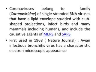 Coronavirus: Prevention and Safety Measures