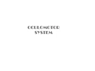 Oculomotor System Disorders Overview