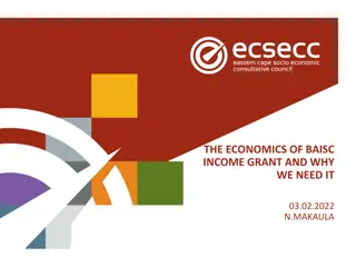 The Economics of Basic Income Grant and Why We Need It