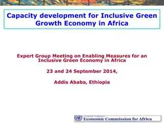 Capacity Development for Inclusive Green Growth Economy in Africa Expert Group Meeting