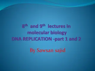 DNA Replication: From Basics to Lab Synthesis