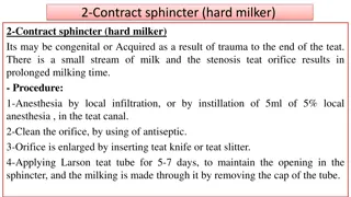 Teat Canal Disorders in Dairy Cows: Causes and Procedures