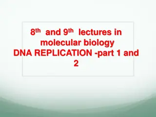 DNA Replication: Process and Significance