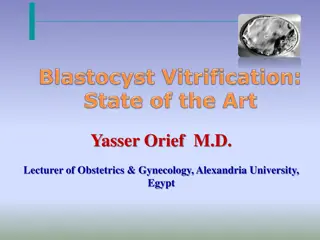 Blastocyst Transfer in Assisted Reproductive Technology