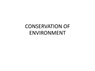 Sustainable Conservation Practices for a Greener Future