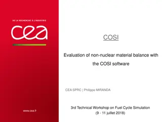 Evaluation of Critical Non-Nuclear Material Balance Using COSI Software