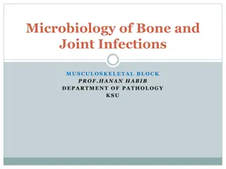 Overview of Microbiology in Bone and Joint Infections