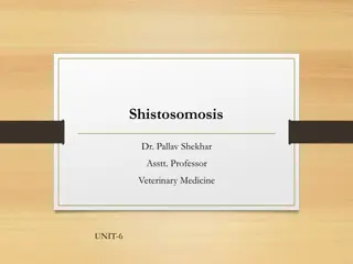 Understanding Shistosomosis in Veterinary Medicine