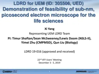 Advancing Electron Microscopy in Life Sciences through UEM Feasibility Demonstration