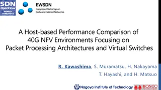 Performance Comparison of 40G NFV Environments