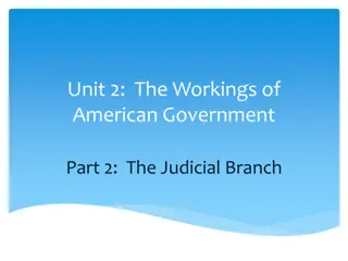 The American Judicial Branch: Structure and Judicial Review