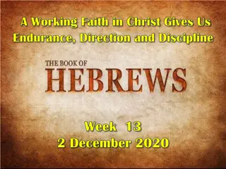 Working Faith in Christ: Endurance, Direction, and Discipline in Hebrews